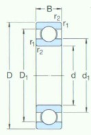 SKF-6013/HC5C3-特殊應(yīng)用軸承